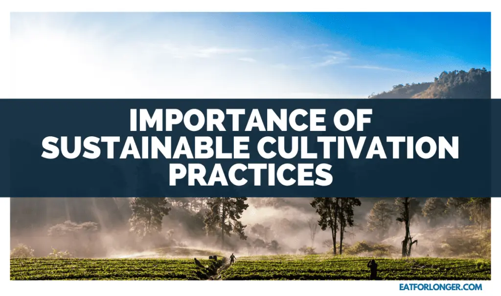 Importance of Sustainable Cultivation Practices