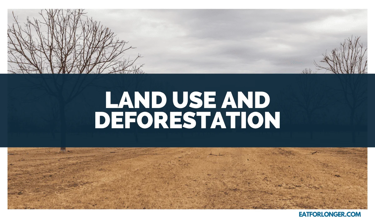 Land Use and Deforestation