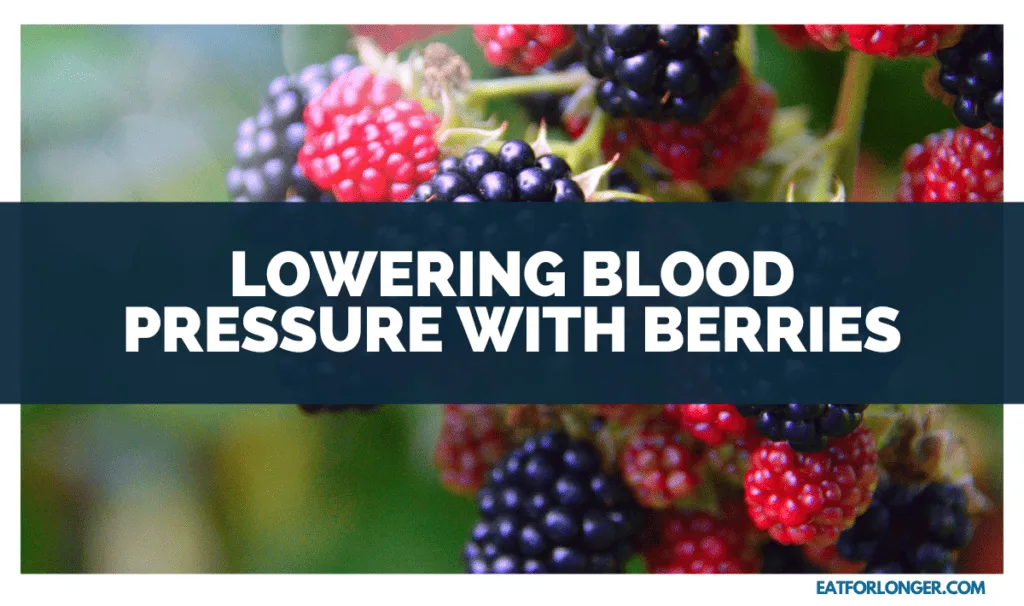 Lowering Blood Pressure with Berries