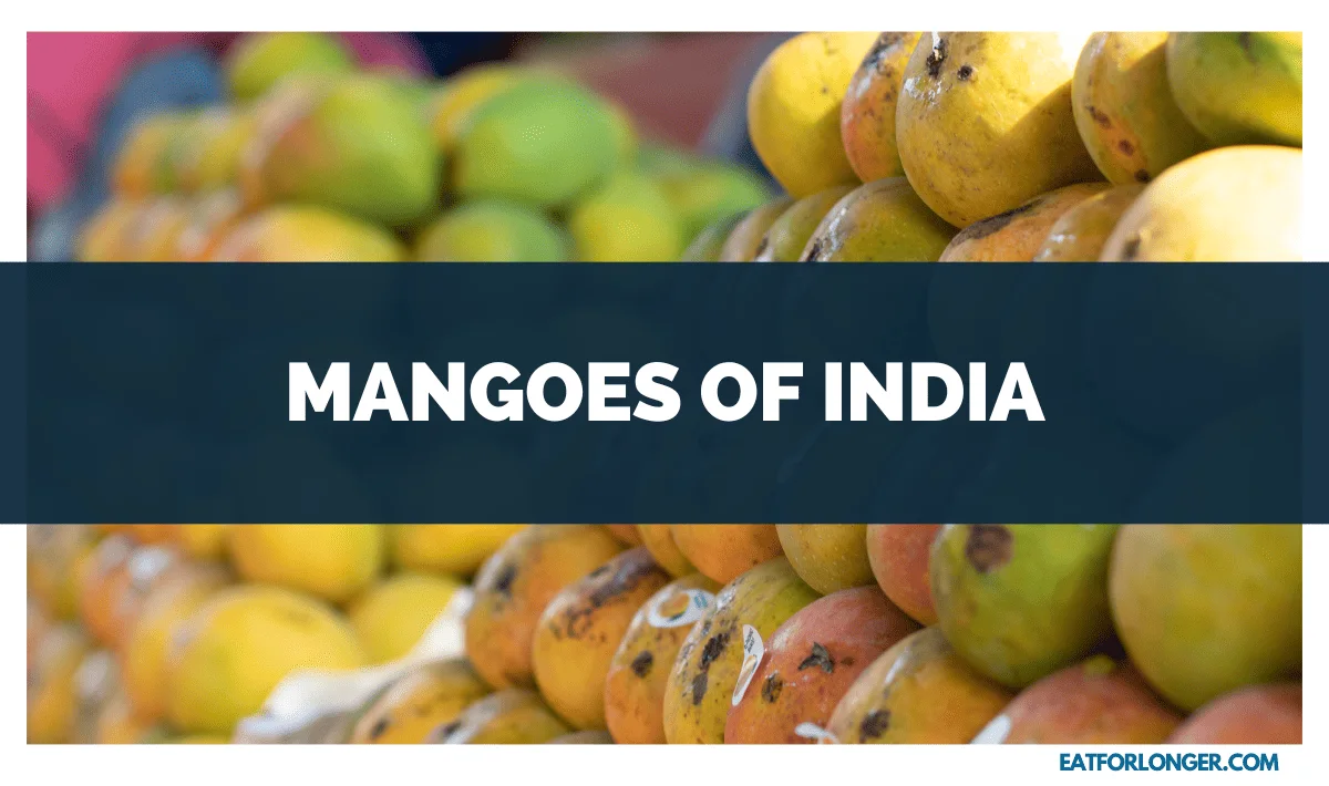 Mangoes of India
