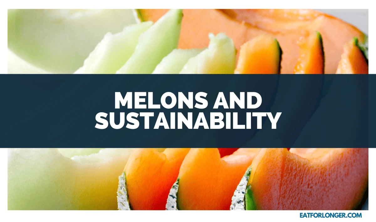Melons and Sustainability