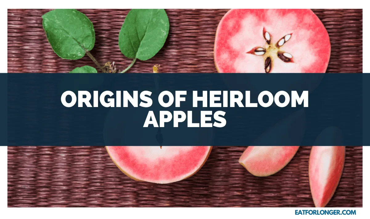 Origins of Heirloom Apples