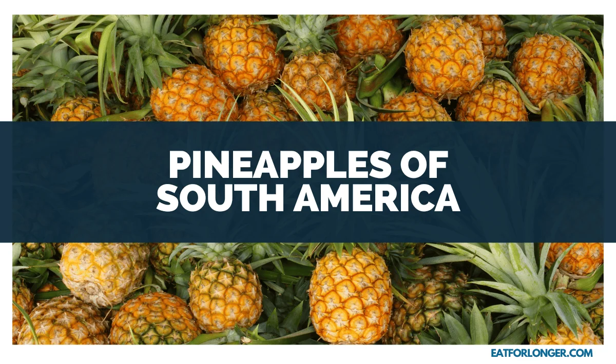 Pineapples of South America