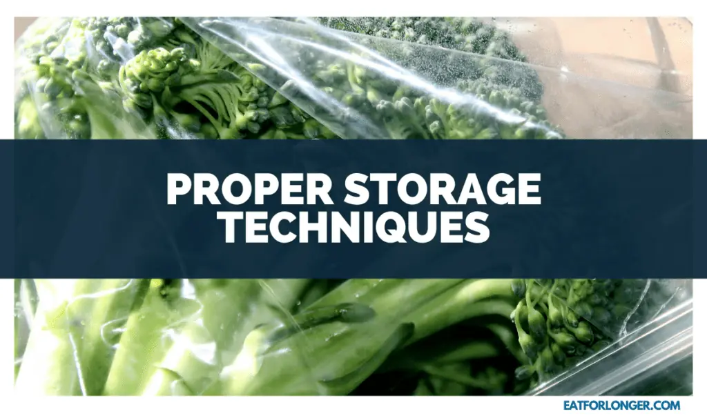 Proper Storage Techniques