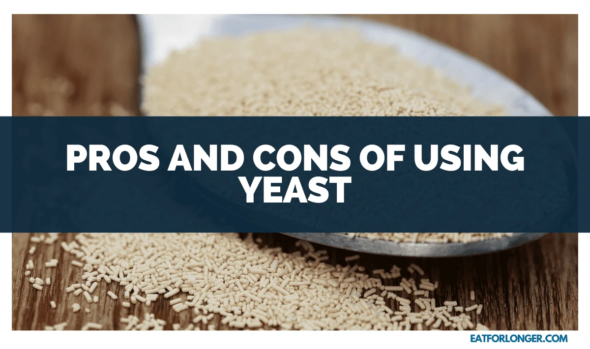Pros and Cons of Using Yeast