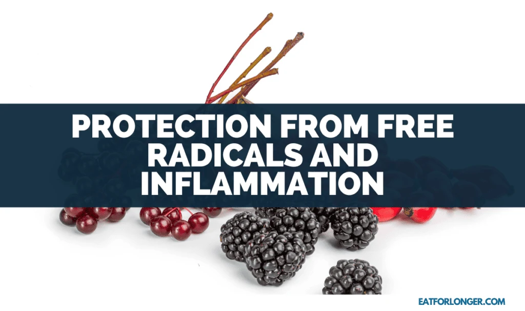 Protection from Free Radicals and Inflammation
