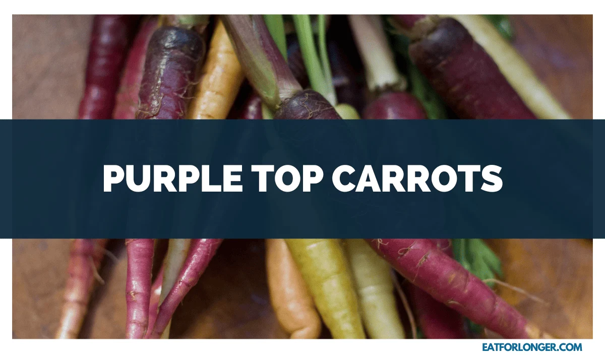 Purple Top Carrots
