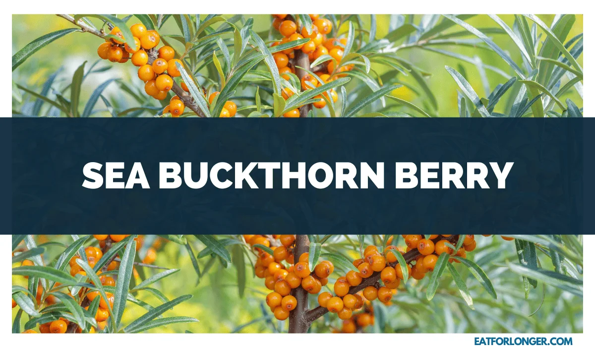 Sea Buckthorn Berry