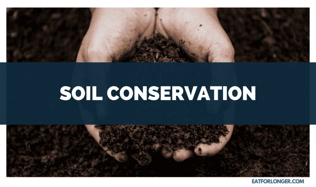 Soil Conservation
