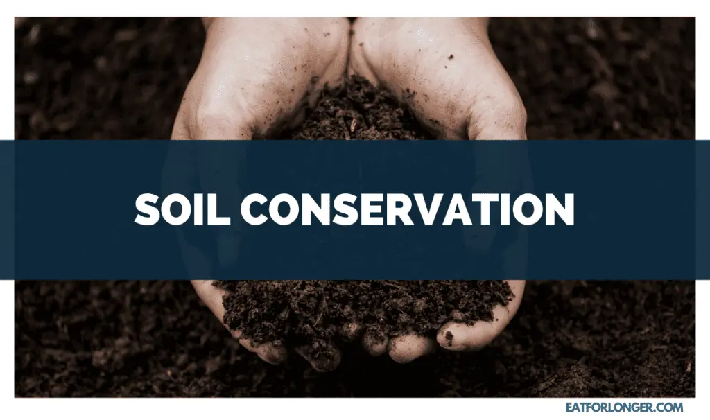 Soil Conservation