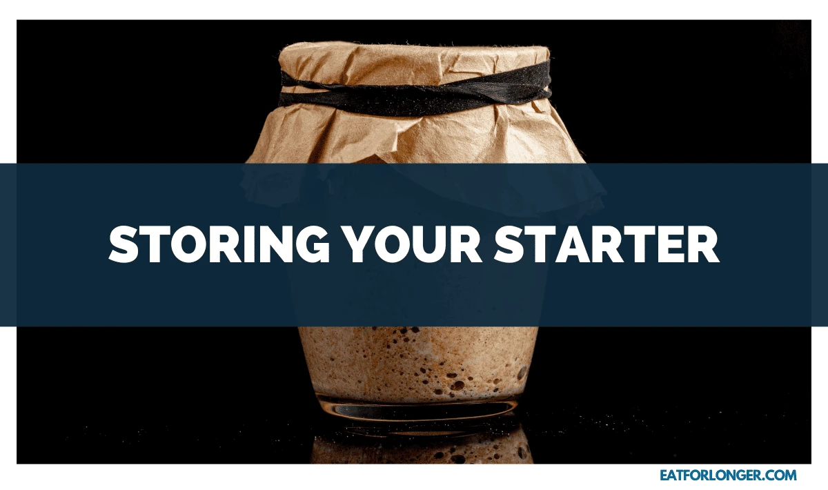 Storing Your Starter