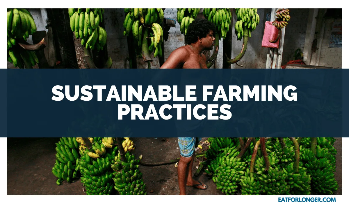 Sustainable Farming Practices