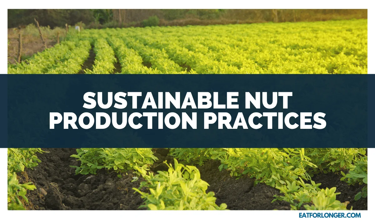 Sustainable Nut Production Practices