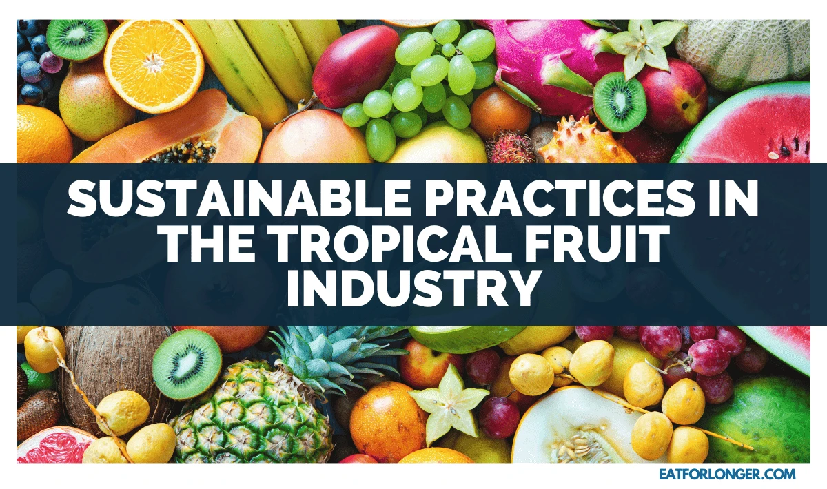 Sustainable Practices In The Tropical Fruit Industry