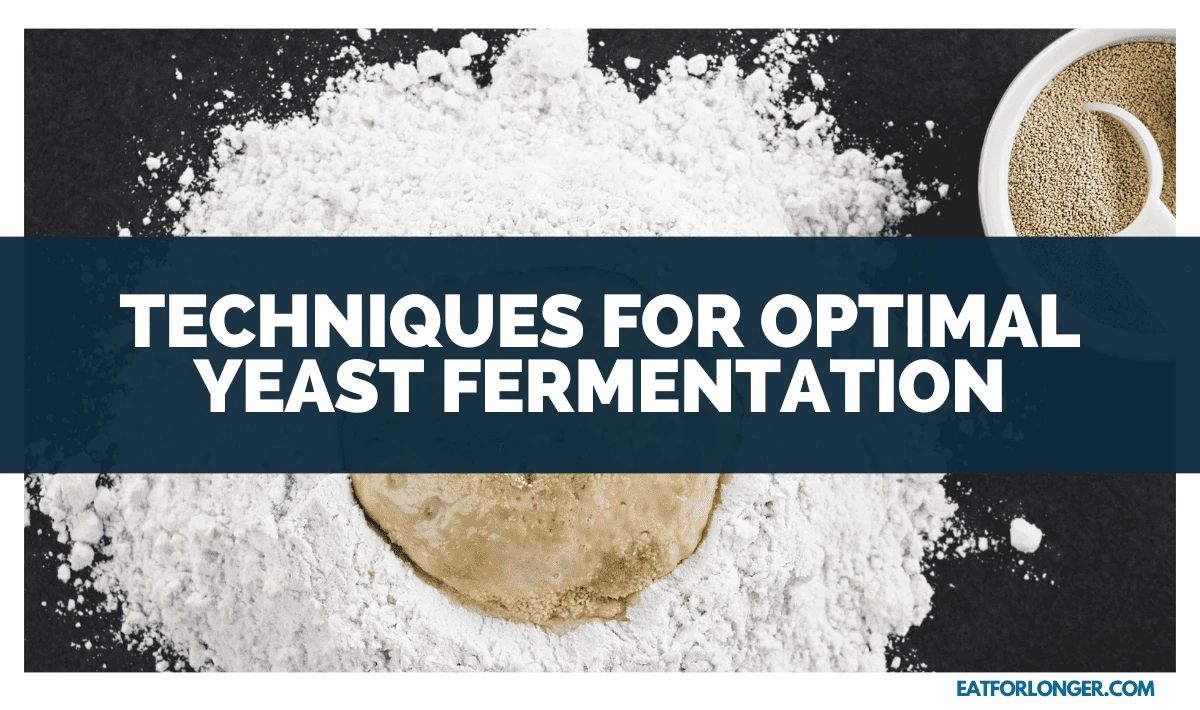 Techniques for Optimal Yeast Fermentation