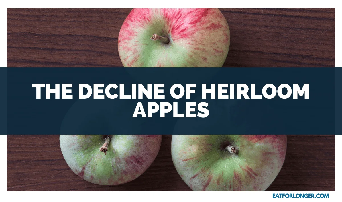 The Decline of Heirloom Apples