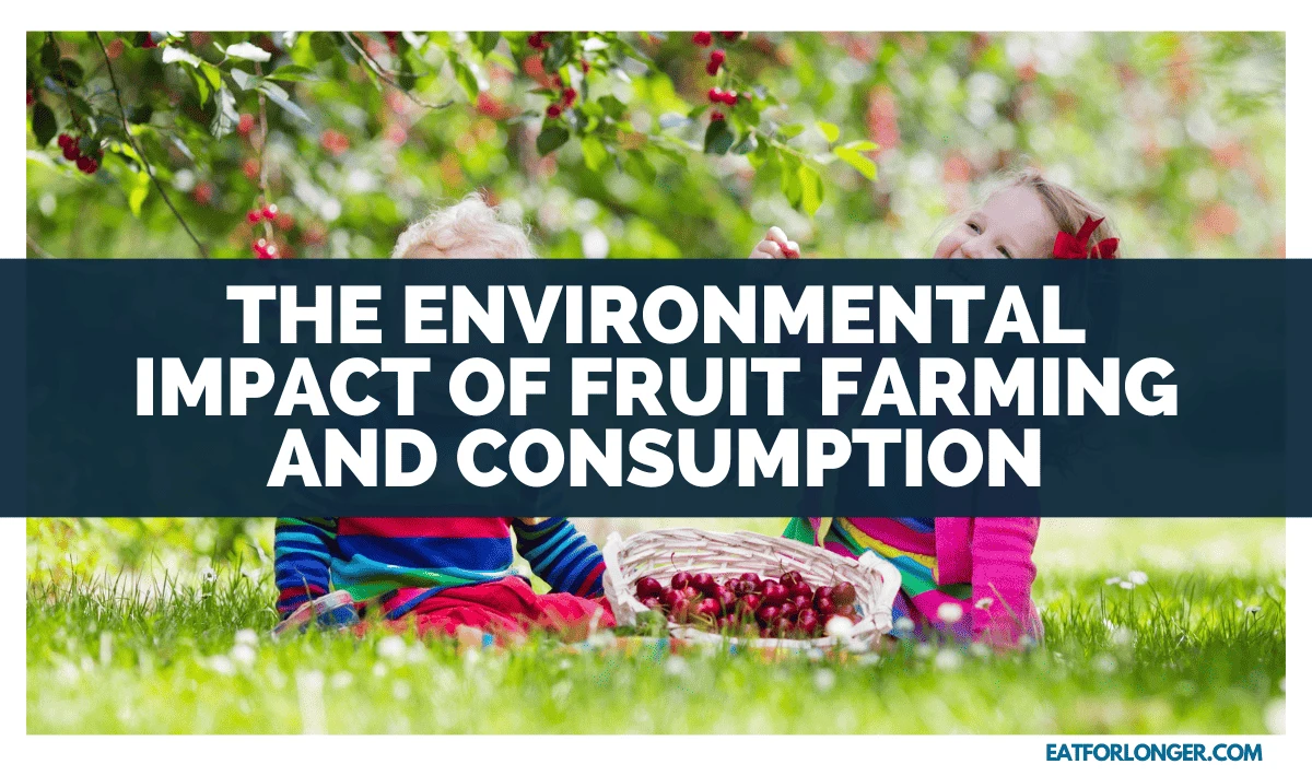 The Environmental Impact Of Fruit Farming And Consumption
