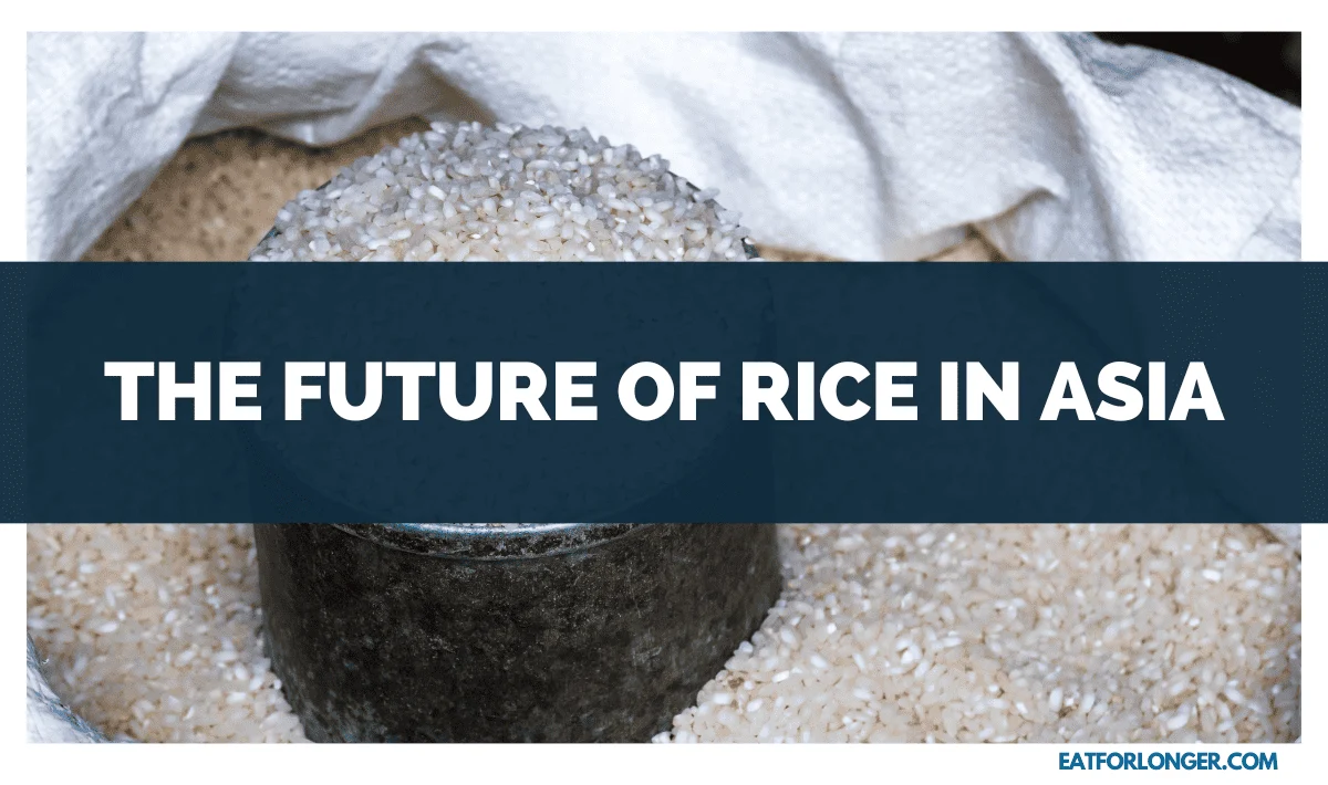 The Future of Rice in Asia
