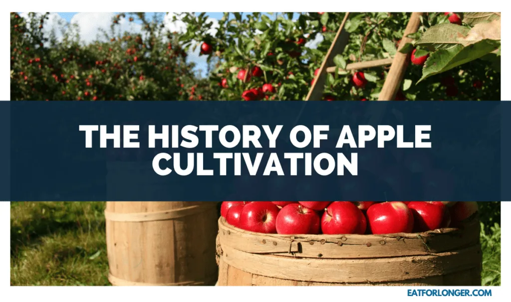 The History of Apple Cultivation