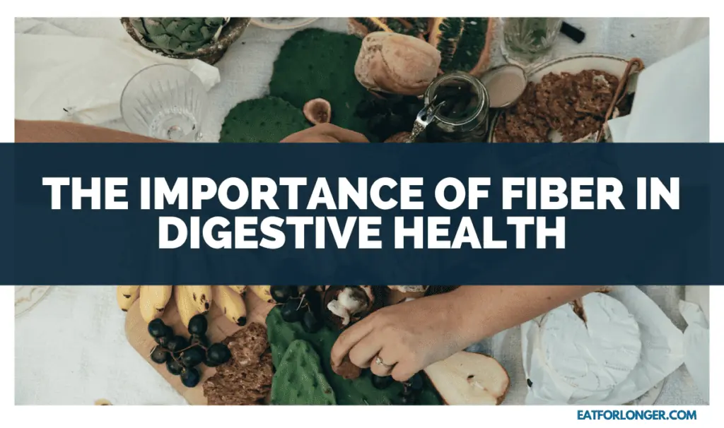 The Importance of Fiber in Digestive Health