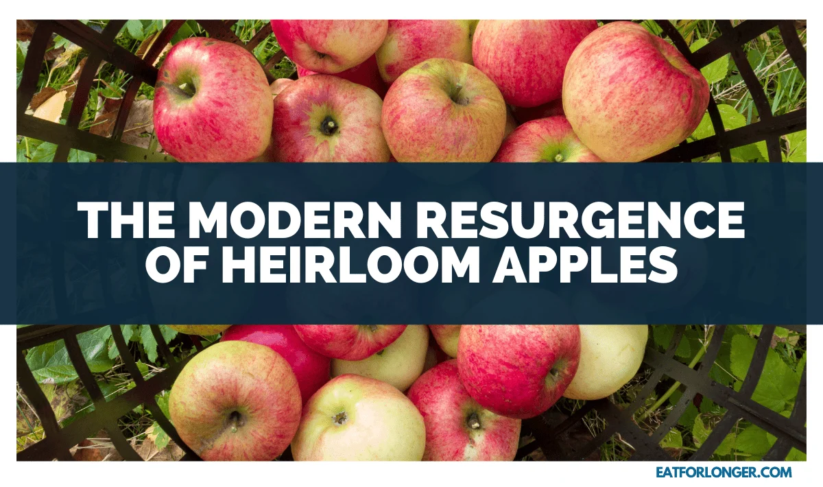 The Modern Resurgence of Heirloom Apples