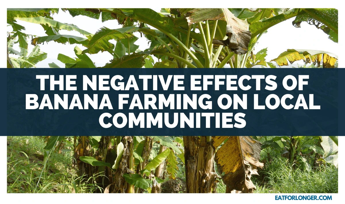 The Negative Effects of Banana Farming on Local Communities