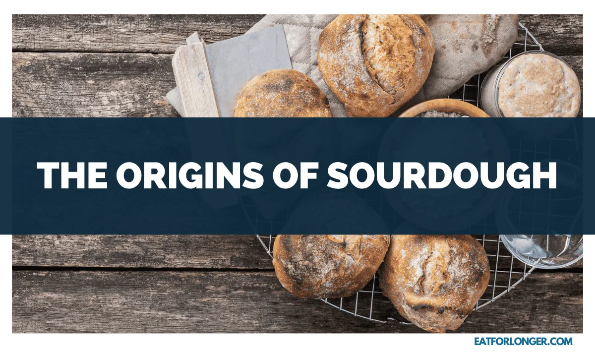 The Origins of Sourdough