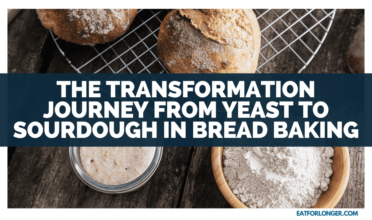 The Transformation Journey From Yeast To Sourdough In Bread Baking