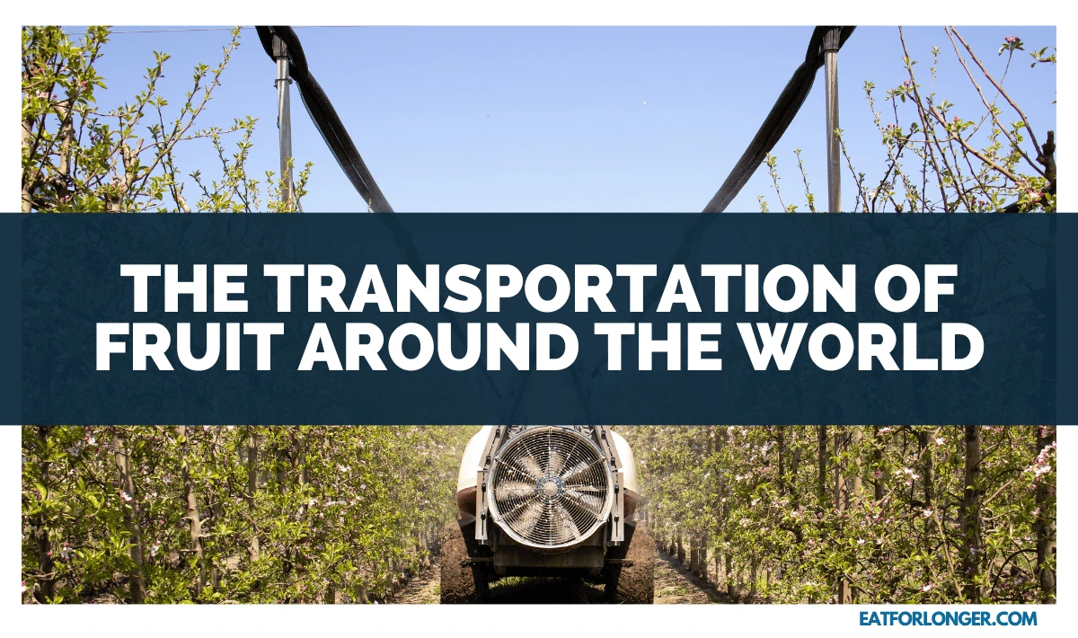 The Transportation of Fruit around the World