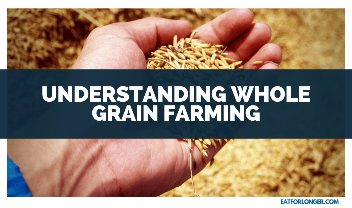Understanding Whole Grain Farming