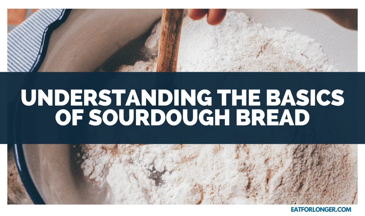 Understanding the Basics of Sourdough Bread