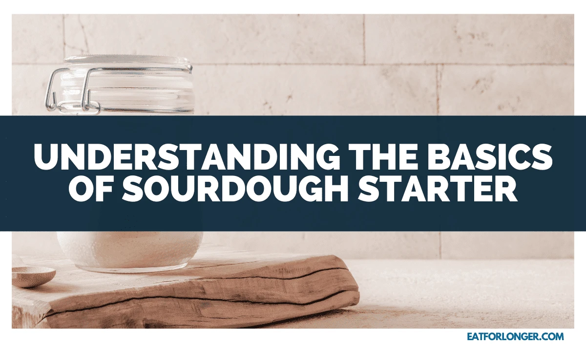 Understanding the Basics of Sourdough Starter