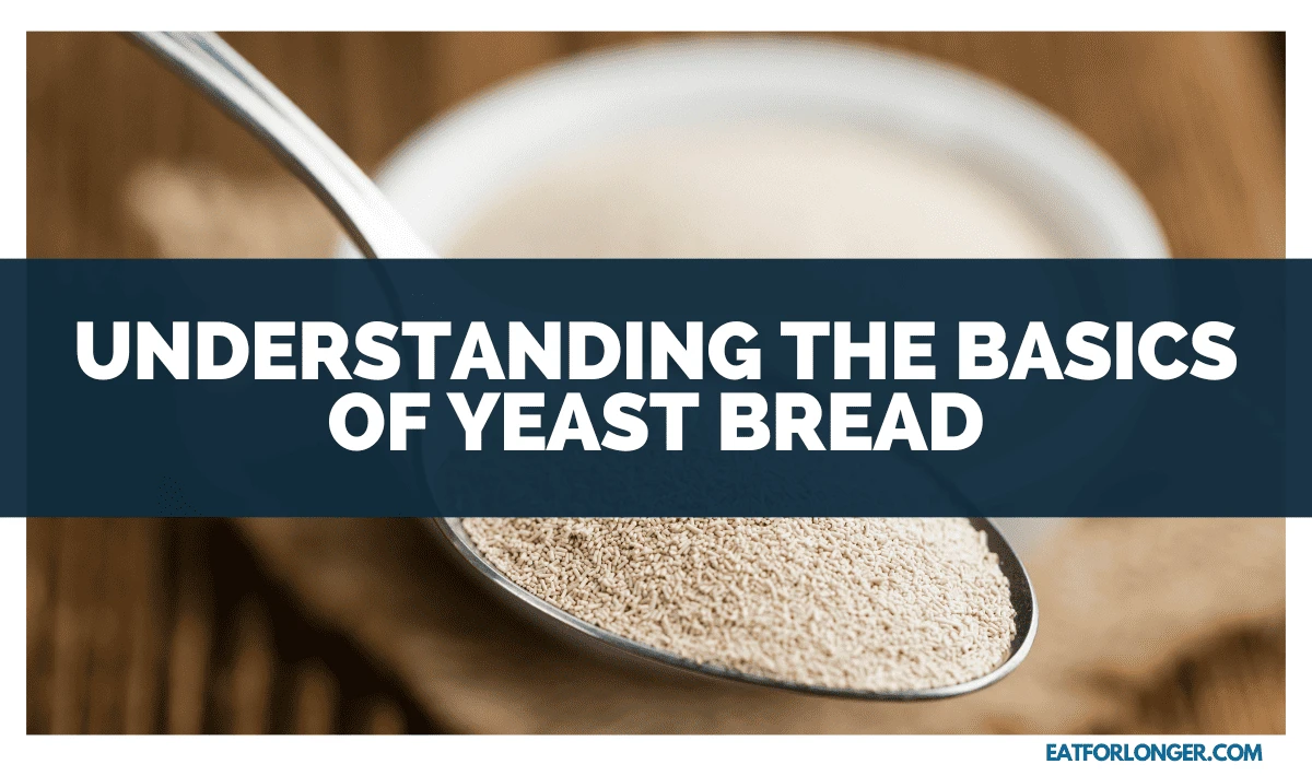 Understanding the Basics of Yeast Bread