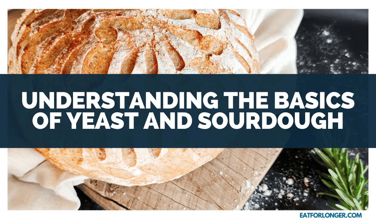 Understanding the Basics of Yeast and Sourdough