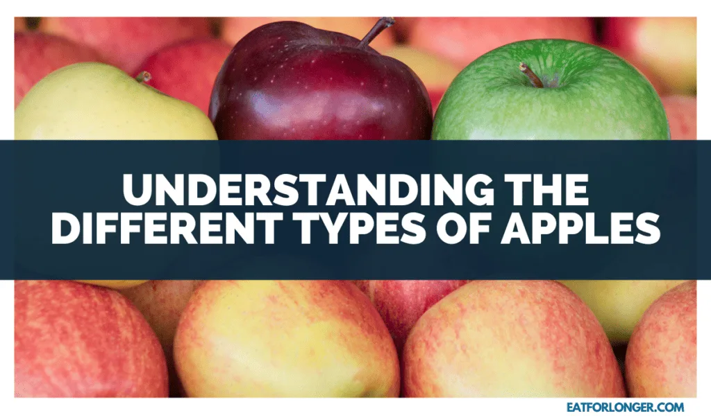 Understanding the Different Types of Apples
