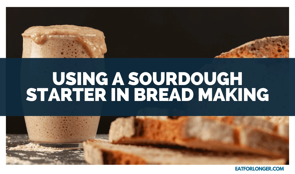 Using a Sourdough Starter in Bread Making
