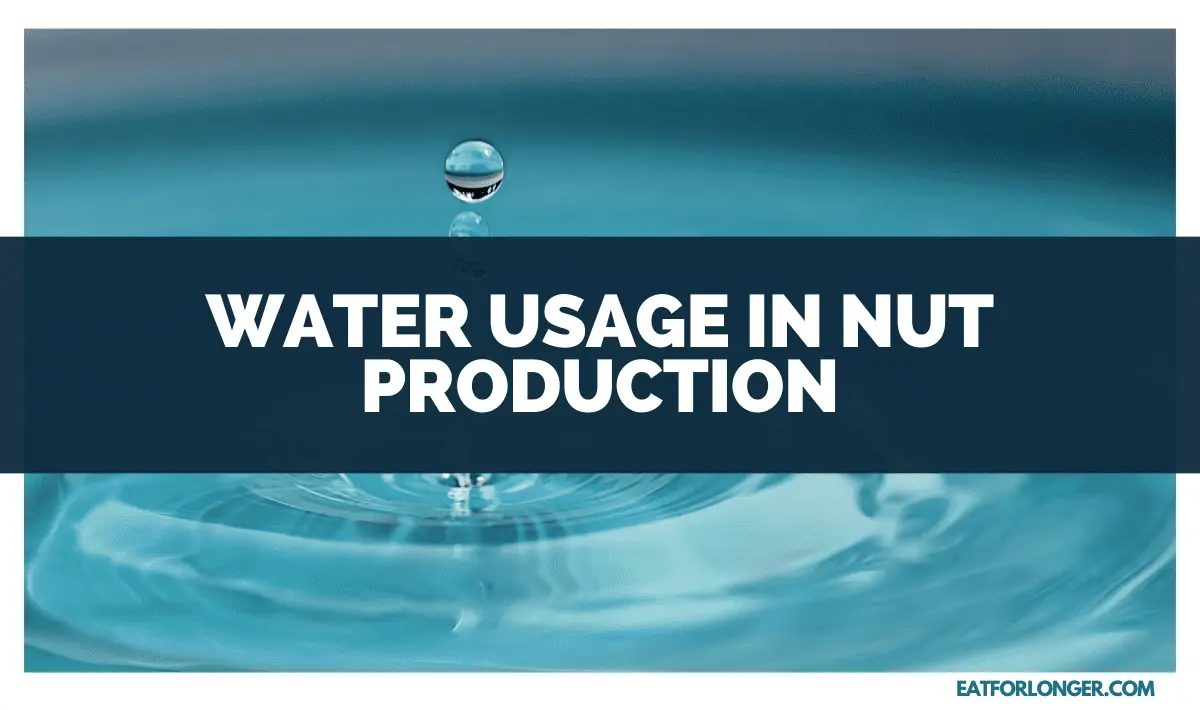 Water Usage in Nut Production