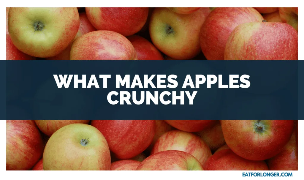 What Makes Apples Crunchy