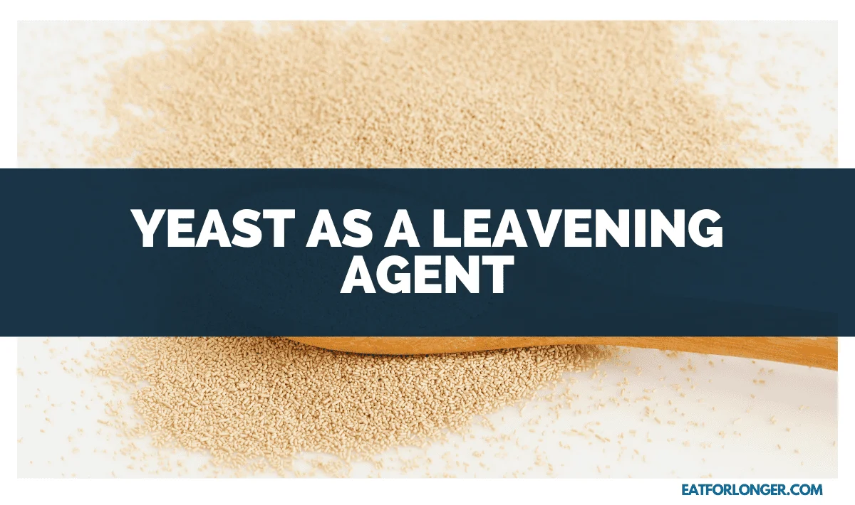 Yeast as a Leavening Agent
