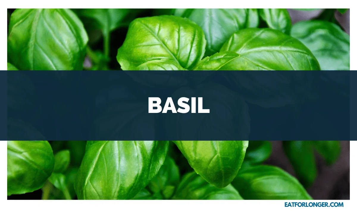 Basil