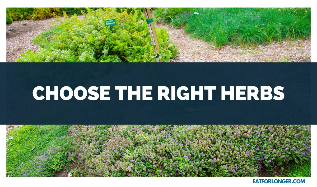 Choose the Right Herbs