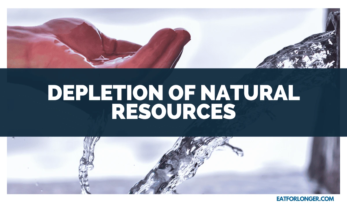 Depletion of Natural Resources