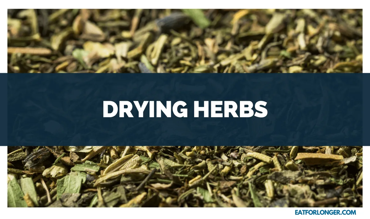Drying Herbs