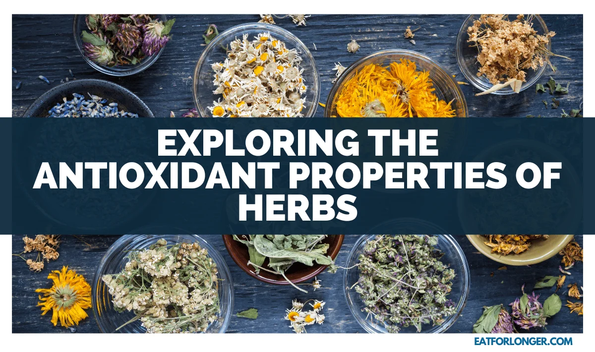 Exploring The Antioxidant Properties Of Herbs