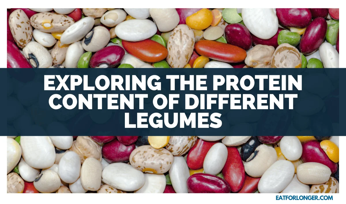Exploring The Protein Content Of Different Legumes
