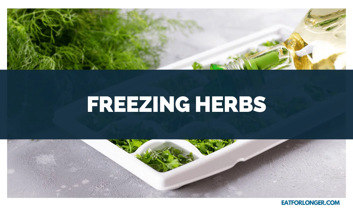 Freezing Herbs
