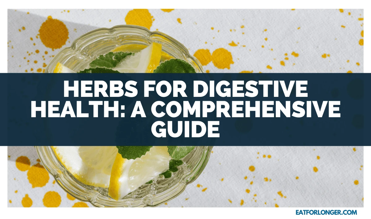 Herbs For Digestive Health_ A Comprehensive Guide