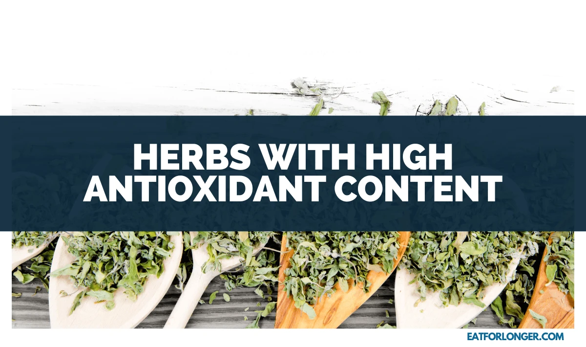 Herbs with High Antioxidant Content