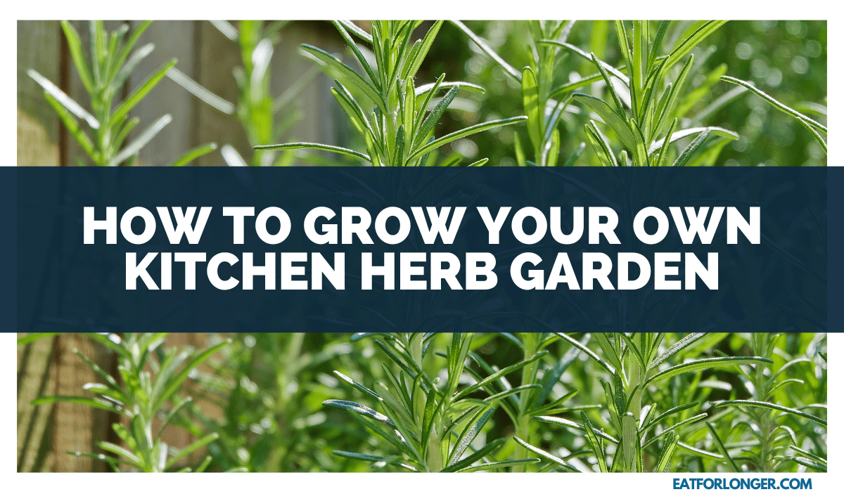 How To Grow Your Own Kitchen Herb Garden