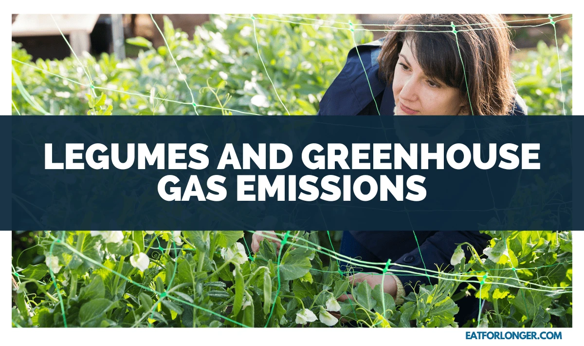 Legumes and Greenhouse Gas Emissions